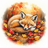 Mirza Umair_Baby fox_2