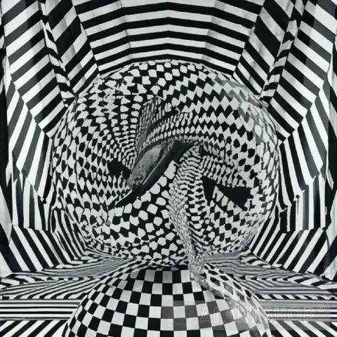 Optical Illusion Ai Artwork