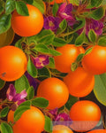 Orange Bounty Nature Ai Art