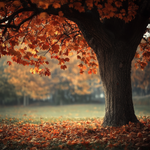 winte_55_Autumn_season_photography_--v_6.1_1c1b2873-734f-48a5-a1c2-cc13995bd52a_0