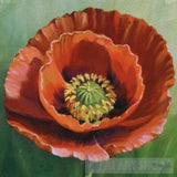 Poppies Flowers Ai Artwork