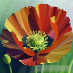 Poppies Flowers Ai Artwork