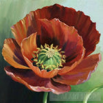 Poppies Flowers Ai Artwork