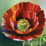 Poppies Flowers Ai Artwork