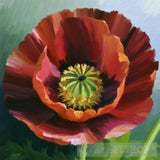 Poppies Flowers Ai Artwork