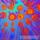 Prophtess Ai Artwork