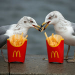 AI google romantic seagull mcdonalds dinner