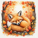 Mirza Umair_Baby fox_1