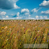 Serene Meadow Nature Ai Art