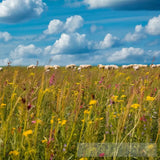 Serene Meadow Nature Ai Art