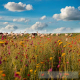 Serene Meadow Nature Ai Art