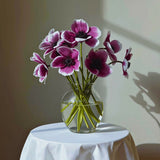 dancers 1