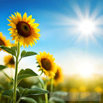 Sunflowers Nature Ai Art