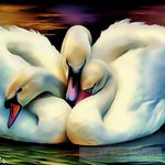 Swans Huddled Together Animal Ai Art