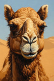 Majestic Desert Camel with Halter Fine Art Print