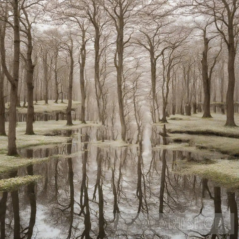 Symmetry In Nature Landscape Ai Art