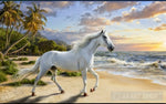 The Image Of A Moody Ocean Landscape With One White Wild Horse On The Beach 4 Animal Ai Art