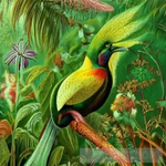 The World Of Birds Animal Ai Art