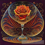 Thin Lines In Pen And Ink Forming The Circumference Of A Glass Water Rose. All Have Same Mass. The