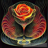 Thin Lines In Pen And Ink Forming The Circumference Of A Glass Water Rose. All Have Same Mass. The