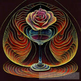 Thin Lines In Pen And Ink Forming The Circumference Of A Glass Water Rose. All Have Same Mass. The