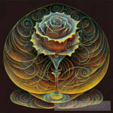 Thin Lines In Pen And Ink Forming The Circumference Of A Glass Water Rose. All Have Same Mass. The
