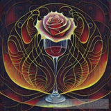 Thin Lines In Pen And Ink Forming The Circumference Of A Glass Water Rose. All Have Same Mass. The