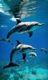 Under Water Ai Artwork