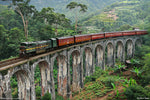 Train Crossing Viaduct Amid Lush Sri Lankan Landscape