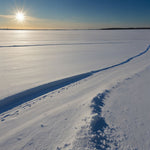 Vast fields covered in snow with a clear blue sky above (2)