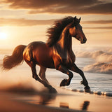 دون عنوان (1024 x 1024 بيكسل) (1)