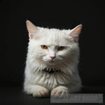 White Cat. Animal Ai Art