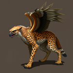 Cheetah-Hawk Pursuit