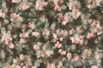 Floral Pattern Nature Ai Art