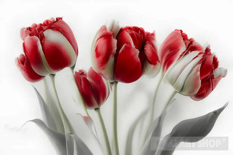 Red Tulips Nature Ai Art